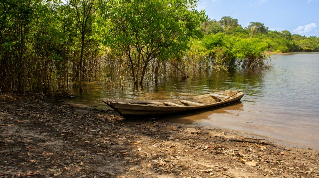 Deforestaton in the Amazon rainforest
