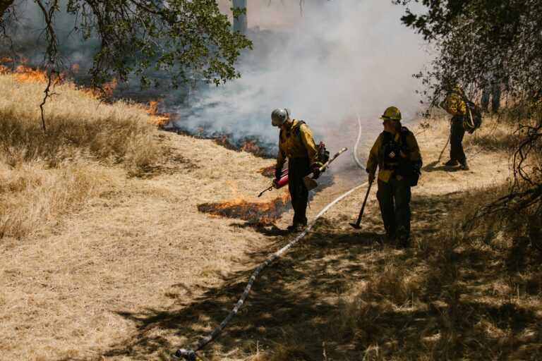California Wildfire 2025: Los Angeles Fire | Global Warming