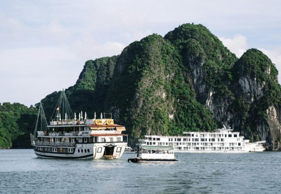 Viking Cruise for Single Senior person